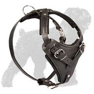 Best training leather harness for Black Russian Terrier Best training leather harness for Black Russian Terrier