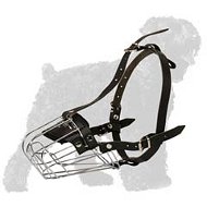 Walking extra light weight Black Russian Terrier muzzle Walking extra light weight Black Russian Terrier muzzle