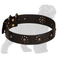 Designer Brown Leather Collar – KNOX DOGWEAR