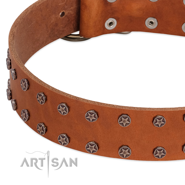 Comfortable genuine leather dog collar for comfy wearing