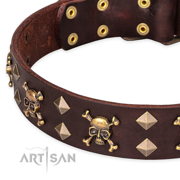 Basic training decorated dog collar of high quality genuine leather