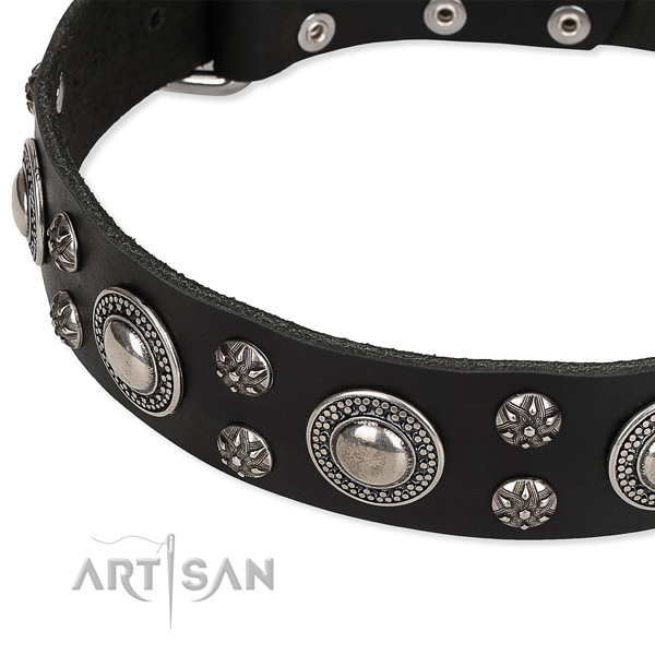 Everyday walking decorated dog collar of high quality leather