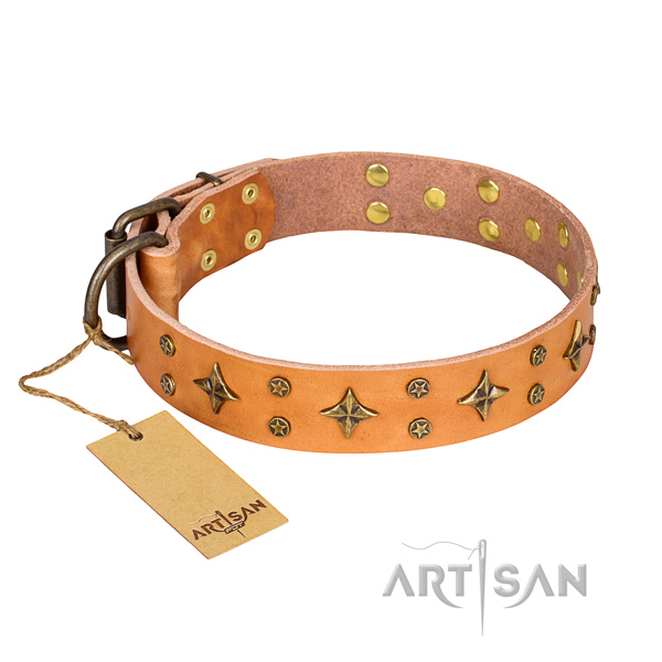 Daily walking dog collar of durable full grain genuine leather with studs