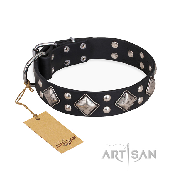 Everyday use trendy dog collar with durable traditional buckle