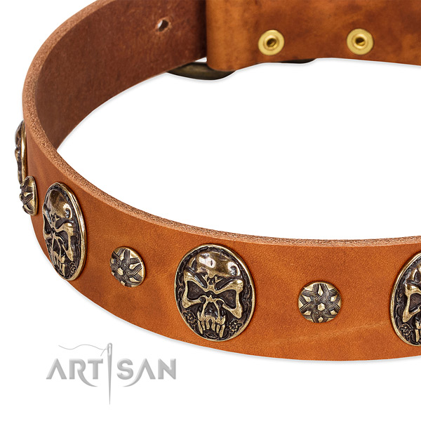 Strong decorations on natural genuine leather dog collar for your dog