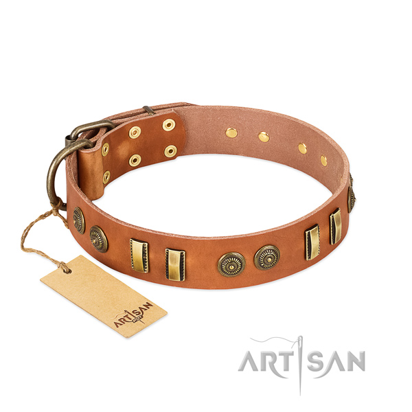Corrosion proof fittings on leather dog collar for your four-legged friend