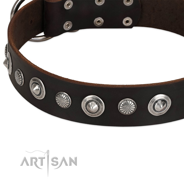 Unusual studded dog collar of strong full grain leather