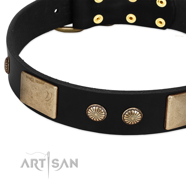 Full grain leather dog collar with studs for daily walking