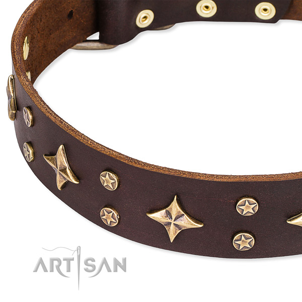 Fancy walking studded dog collar of durable natural leather