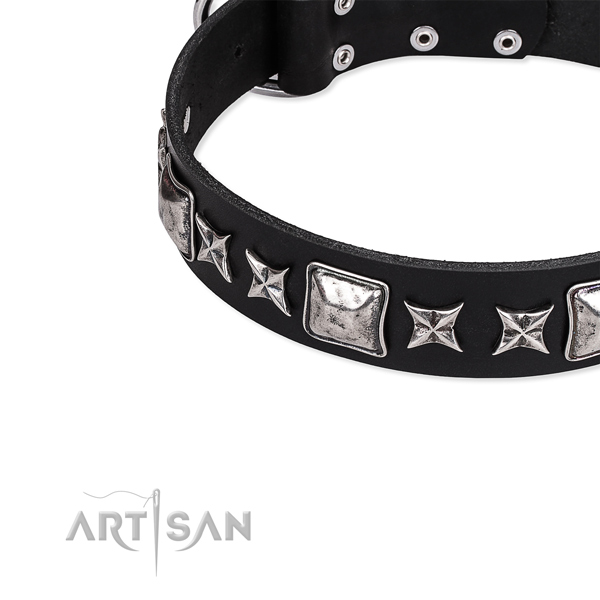 Everyday walking embellished dog collar of strong full grain natural leather