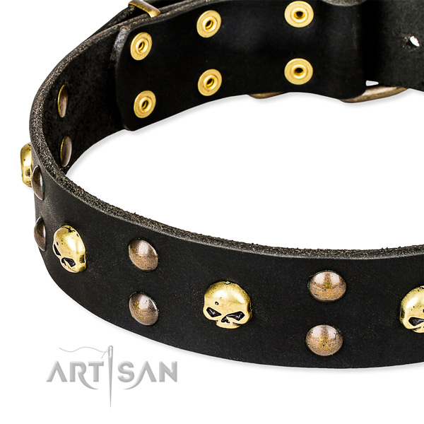Easy wearing studded dog collar of finest quality natural leather