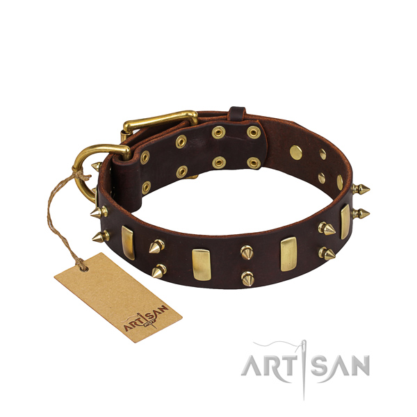 Everyday use dog collar of strong natural leather with adornments