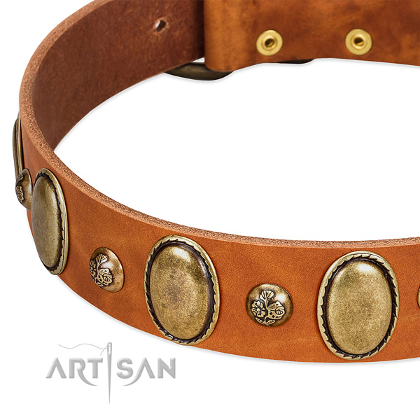 Leather dog collar with fashionable decorations