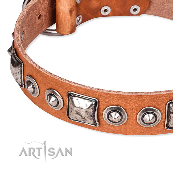Top rate natural genuine leather dog collar created for your lovely pet