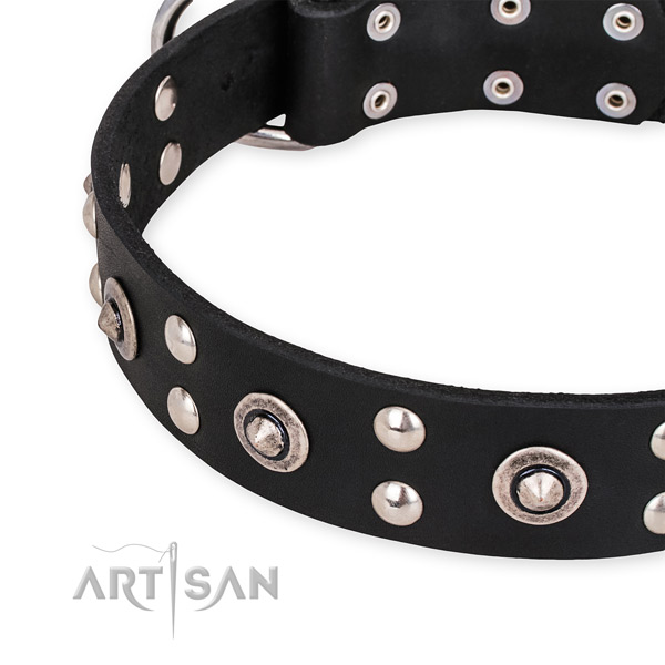 Full grain leather collar with strong traditional buckle for your beautiful dog