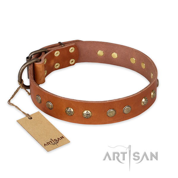 Exceptional full grain genuine leather dog collar with corrosion proof fittings