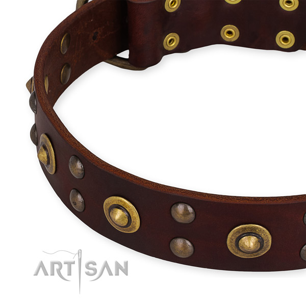 Genuine leather collar with reliable D-ring for your attractive doggie