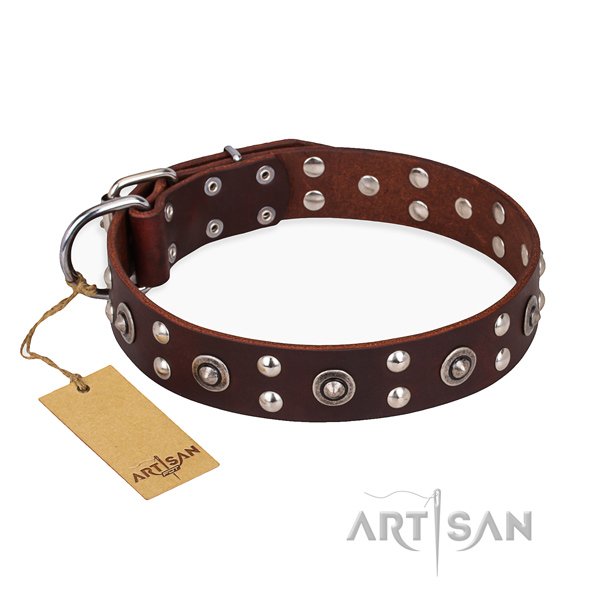 Everyday walking decorated dog collar with rust-proof buckle