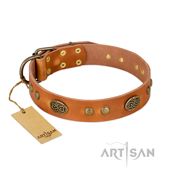 Corrosion resistant embellishments on leather dog collar for your doggie