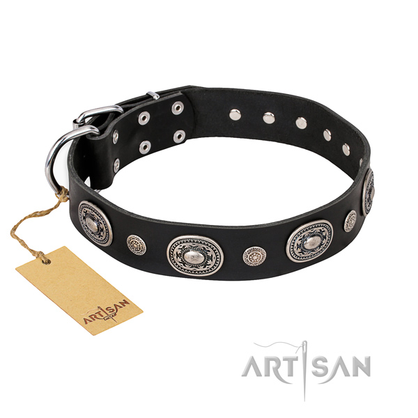 Best quality genuine leather collar crafted for your four-legged friend