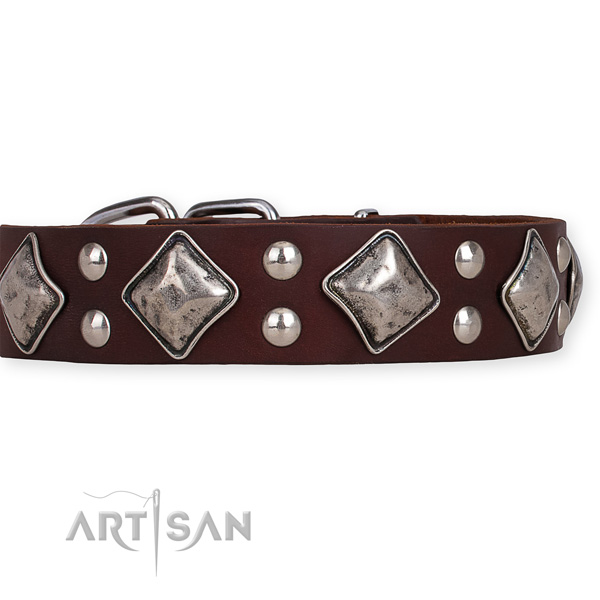 Full grain leather dog collar with top notch reliable adornments