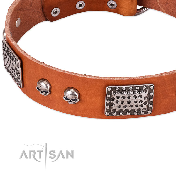 Rust resistant studs on full grain natural leather dog collar for your pet