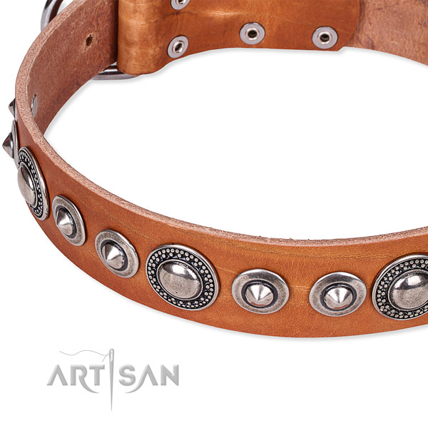 Handy use adorned dog collar of quality full grain genuine leather