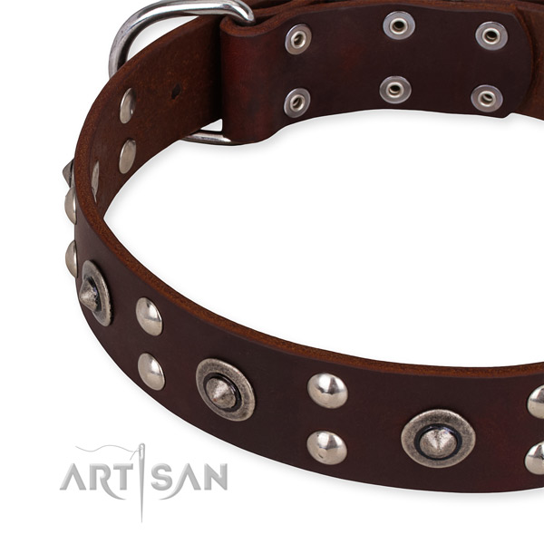 Genuine leather collar with strong hardware for your stylish canine
