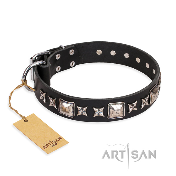 Stylish walking dog collar of high quality genuine leather with adornments
