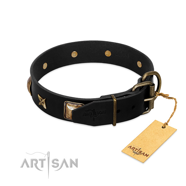 Strong hardware on leather collar for walking your four-legged friend