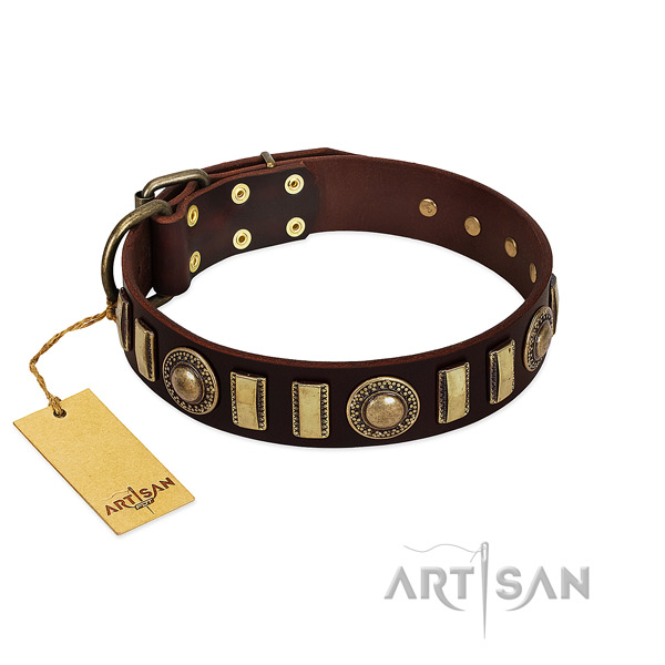 Gentle to touch leather dog collar with corrosion proof fittings