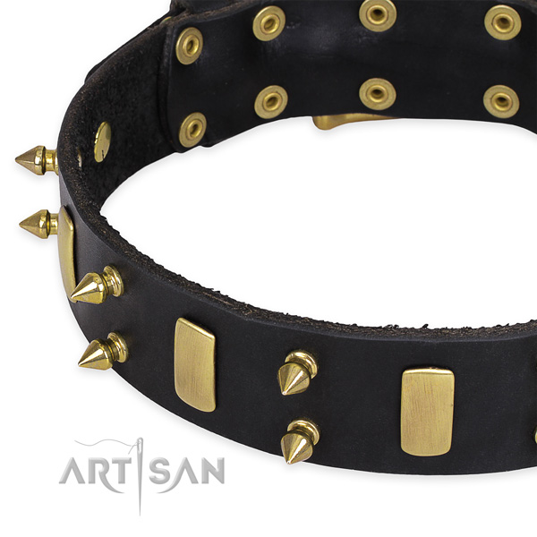 Daily use adorned dog collar of strong genuine leather