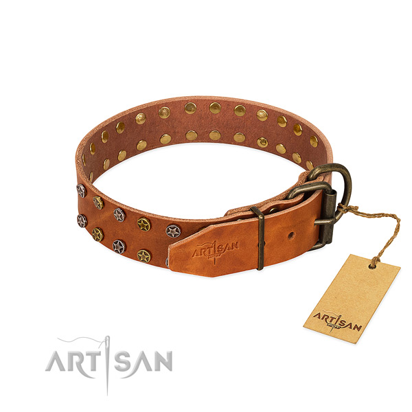 Everyday walking natural leather dog collar with significant studs
