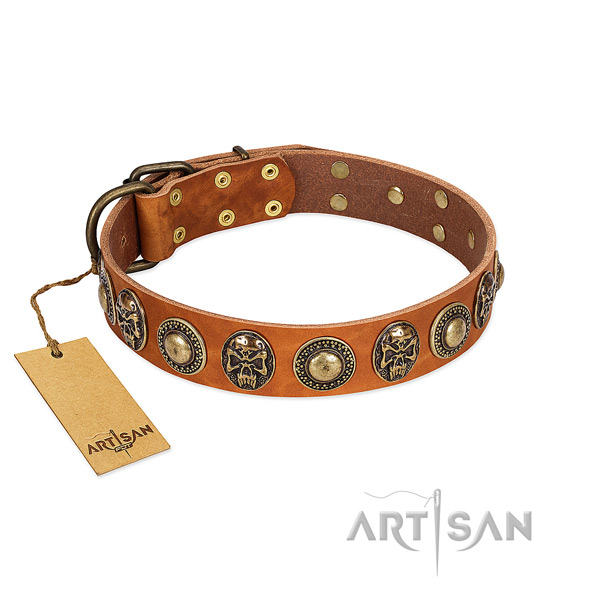 Adjustable full grain natural leather dog collar for everyday walking your dog