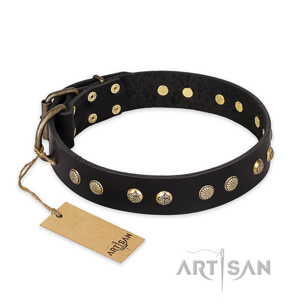 Stunning leather dog collar with corrosion resistant buckle