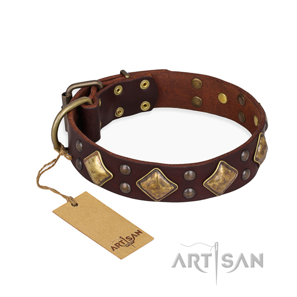 Comfortable wearing top notch dog collar with reliable traditional buckle