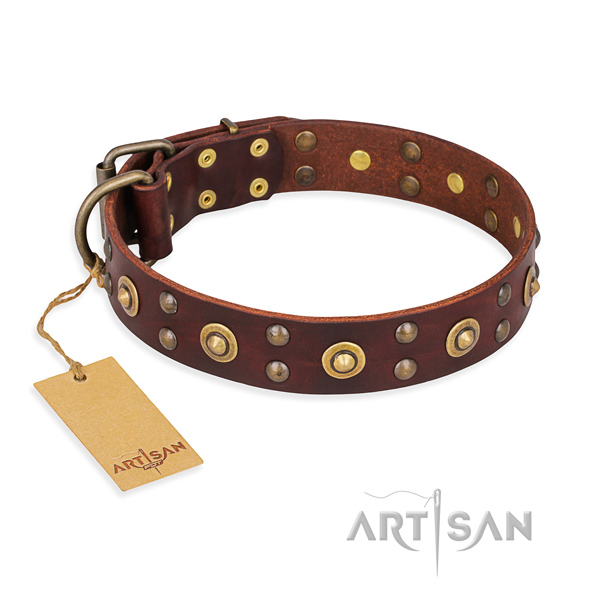 Fine quality full grain leather dog collar with durable traditional buckle
