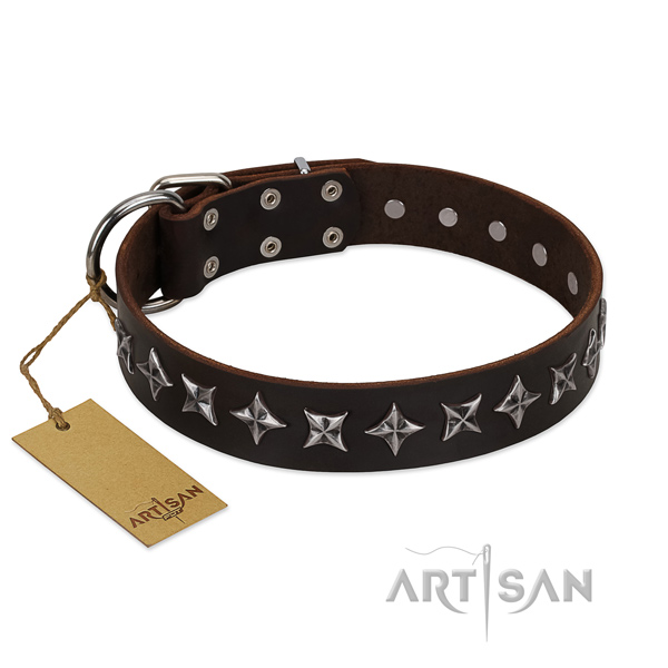 Walking dog collar of fine quality leather with studs