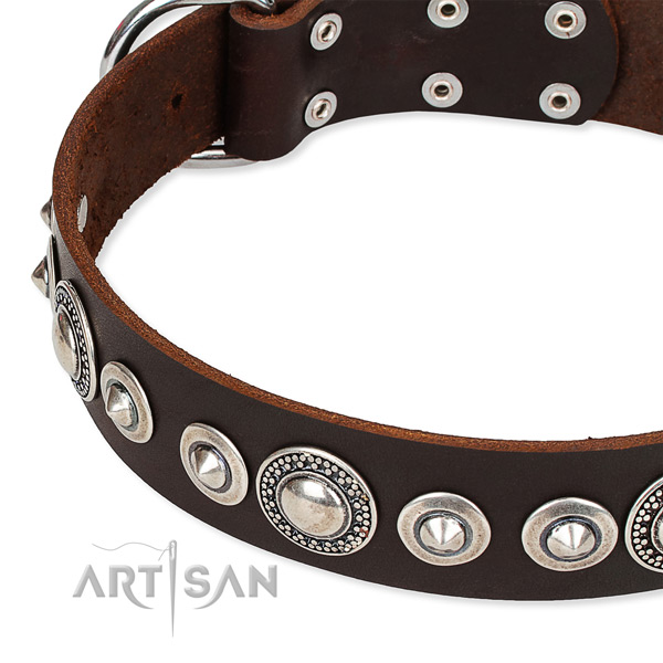 Comfortable wearing embellished dog collar of durable full grain natural leather
