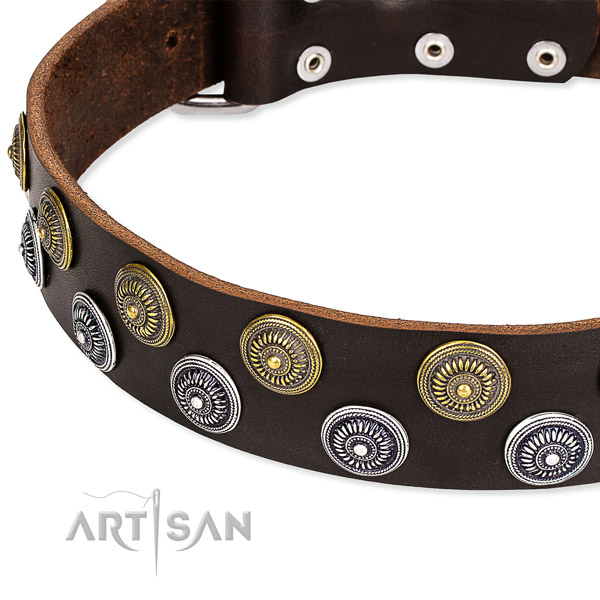 Daily walking adorned dog collar of fine quality full grain natural leather