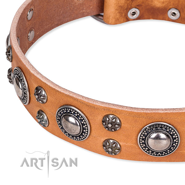 Daily use studded dog collar of quality genuine leather