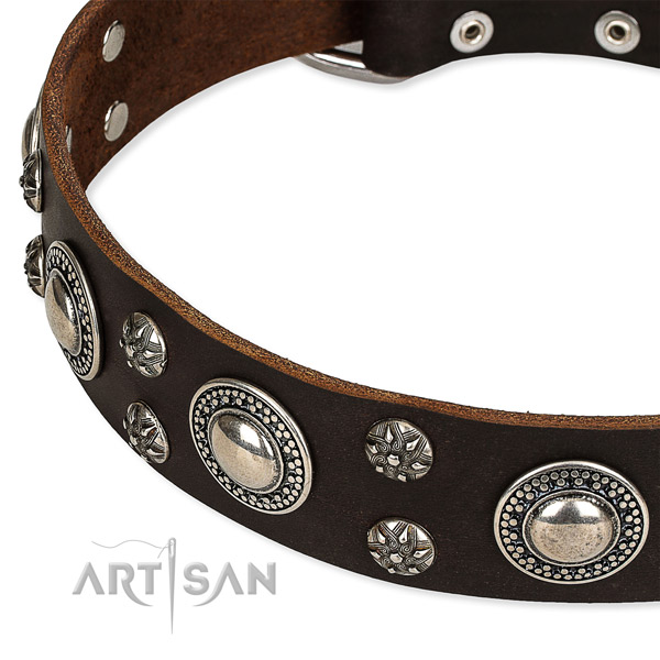 Stylish walking decorated dog collar of top quality genuine leather