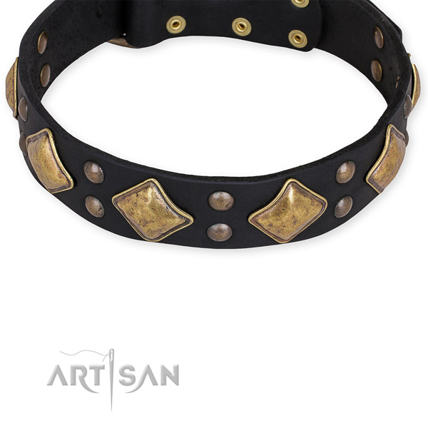 Full grain leather dog collar with exceptional strong embellishments