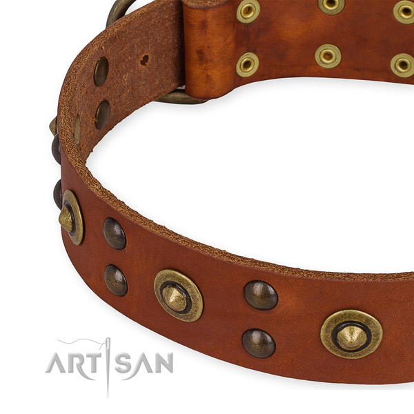 Full grain natural leather collar with durable D-ring for your attractive dog