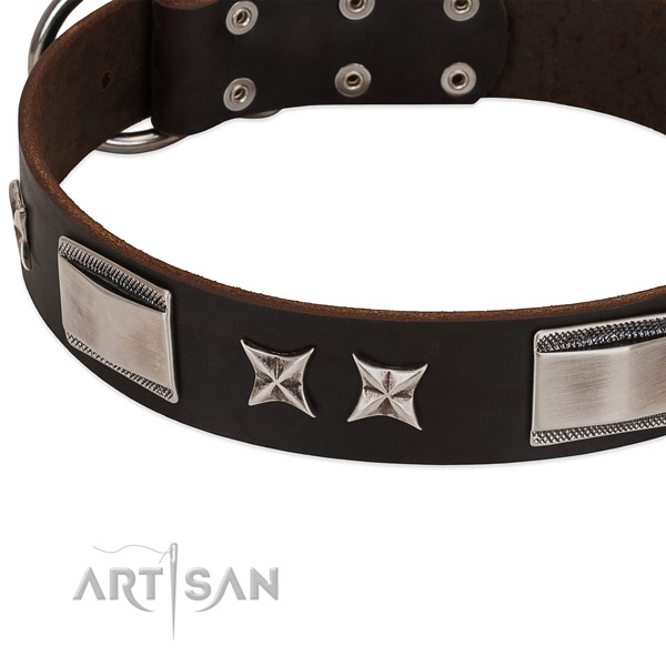 Fashionable collar of leather for your beautiful doggie