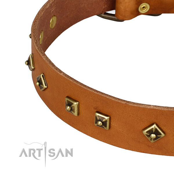 Top quality full grain genuine leather collar for your impressive four-legged friend