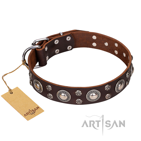 Everyday use dog collar of top quality leather with decorations