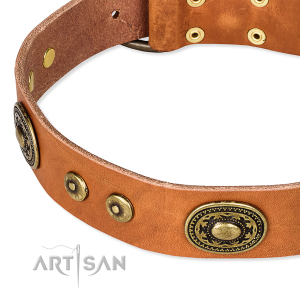 Leather dog collar made of top rate material with adornments
