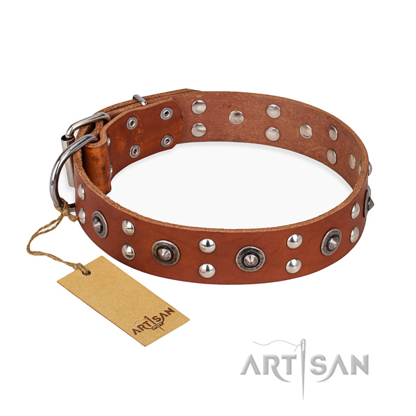 Handy use adorned dog collar with durable buckle
