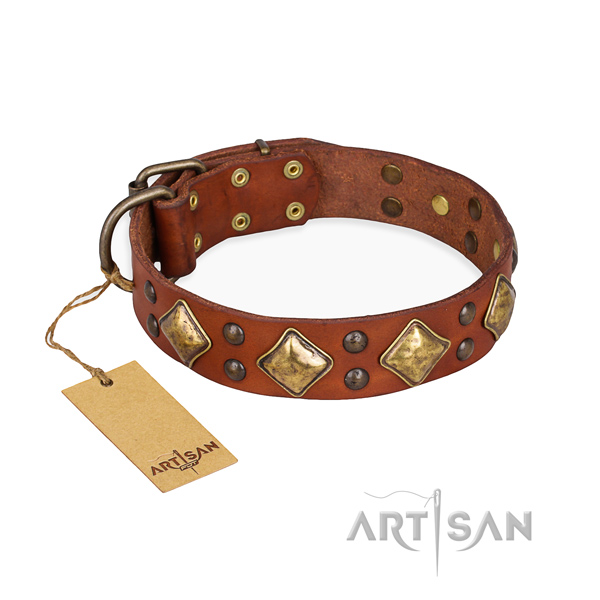 Comfy wearing perfect fit dog collar with durable traditional buckle